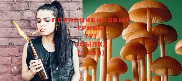 jwh Ельня