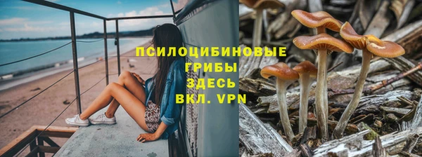 MDMA Елизово