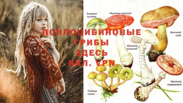 кокаин перу Елабуга
