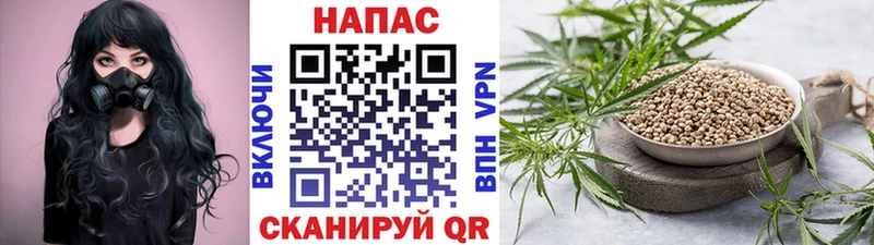 Купить где  Фрязино  Канабис ГИДРОПОН 